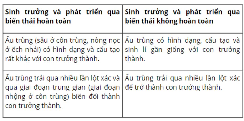 phan-biet-qua-trinh-phat-trien-o-buom-va-ve-sau-buom-va-khi-moi-nguoi-giup-minh-vs