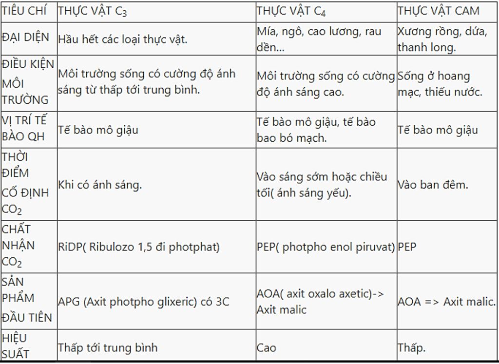 phan-biet-qua-trinh-quang-hop-o-3-nhom-thuc-vat-c3-c4-va-cam
