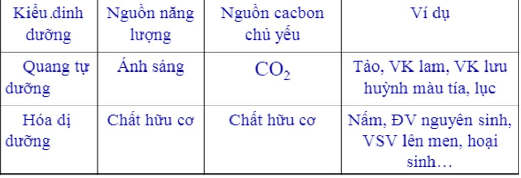 phan-biet-quang-tu-duong-va-hoa-di-duong