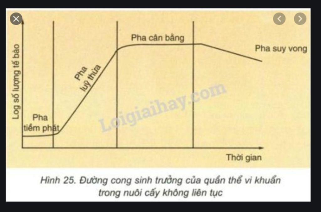 phan-biet-su-sinh-truong-cua-quan-the-vsv-trong-cac-dieu-kien-nuoi-cay-lien-tuc-va-khong-lien-tu