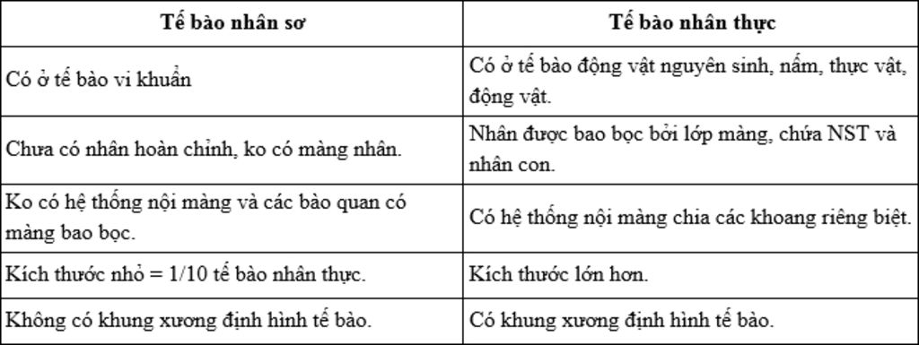phan-biet-te-bao-nhan-so-te-bao-nhan-thuc