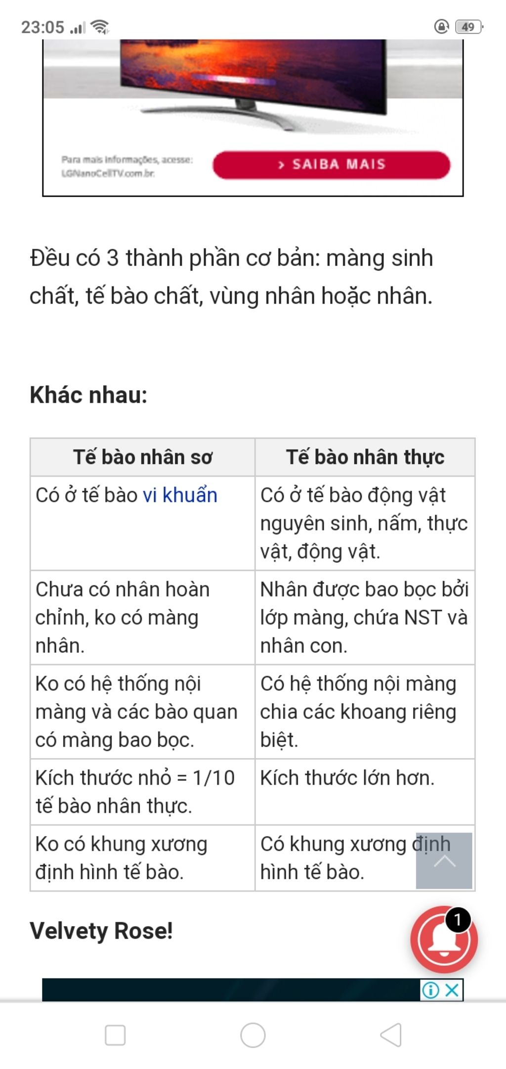 phan-biet-te-bao-nhan-so-va-te-bao-nhan-thuc-ve-kich-thuoc-adn-nhan-thanh-te-bao-bao-quan-riboom