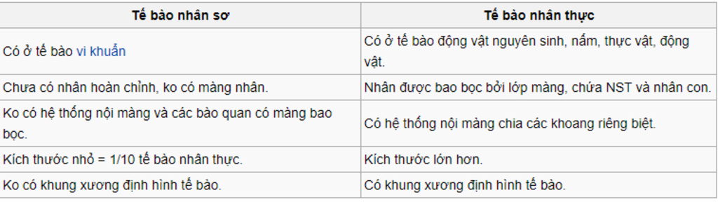 phan-biet-te-bao-nhan-so-voi-te-bao-nhan-thuc