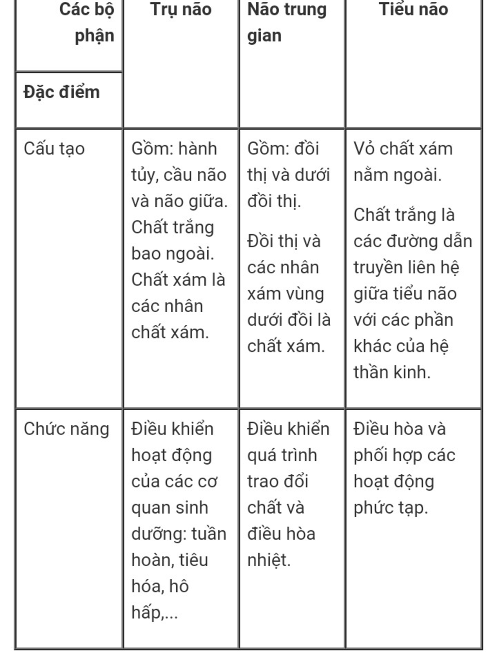 phan-biet-tieu-nao-va-tuy-song-ve-cau-tao-va-chuc-nang