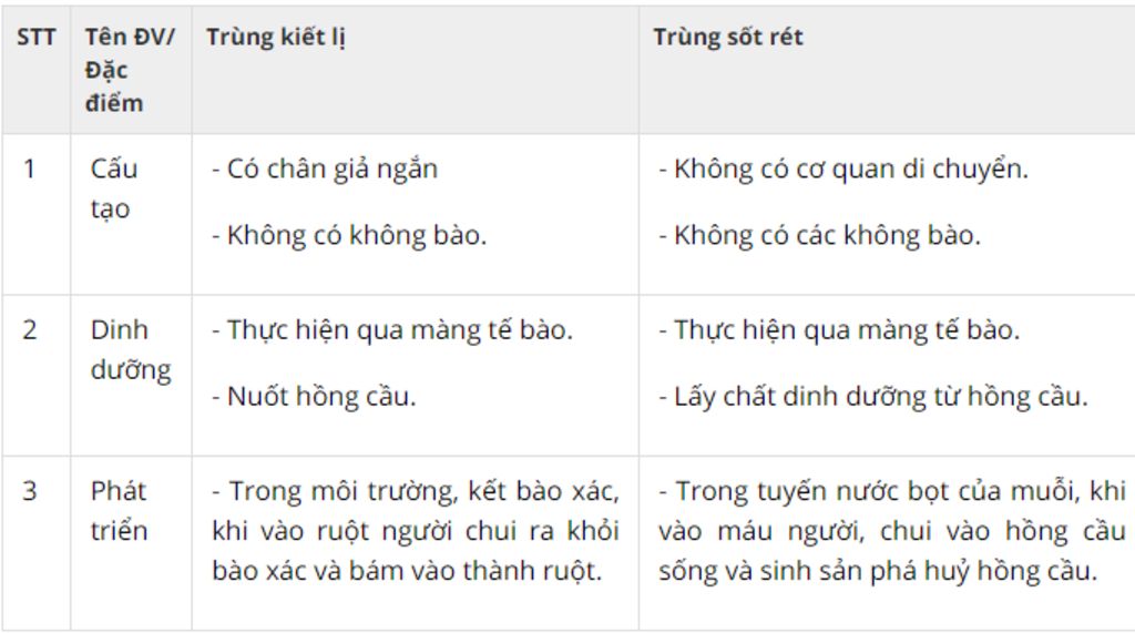 phan-biet-trung-kiet-li-va-trung-sot-ret-ke-bang-cang-tot-chi-phan-biet-cau-tao-noi-ki-sinh-tac