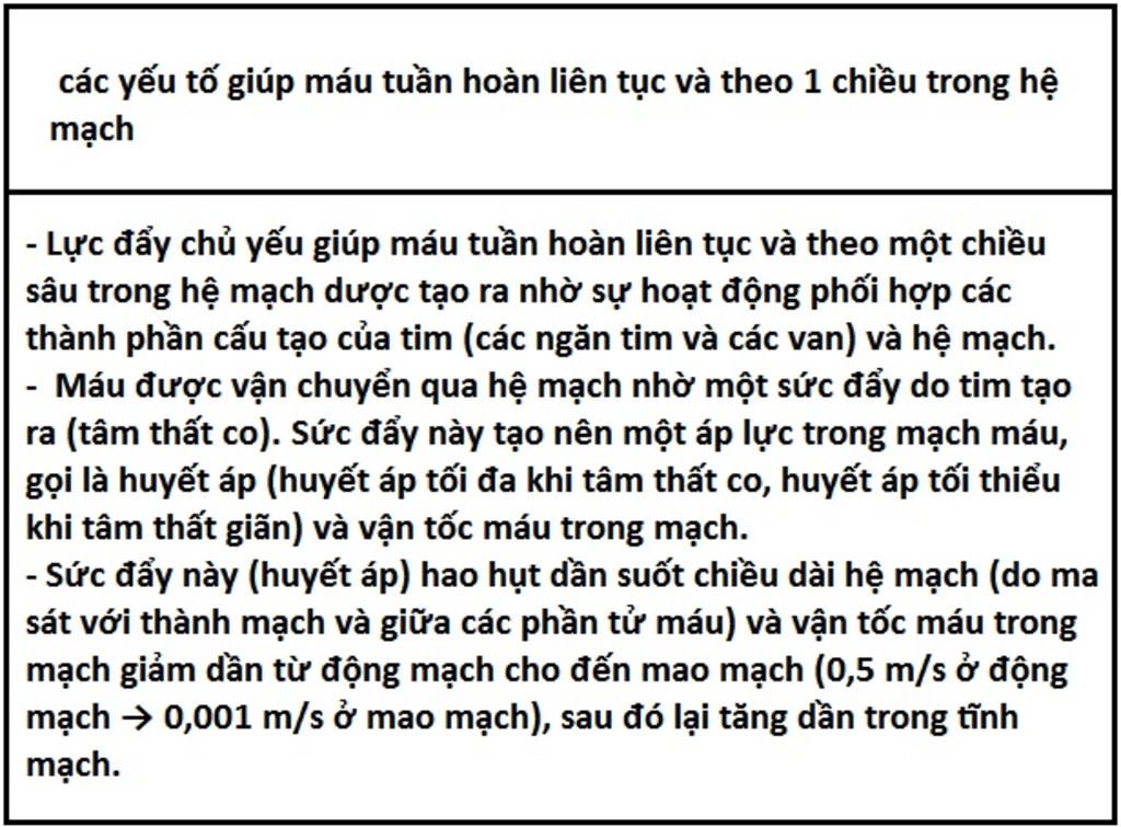 phan-tich-cac-yeu-to-giup-mau-tuan-hoan-lien-tuc-va-theo-1-chieu-trong-he-mach