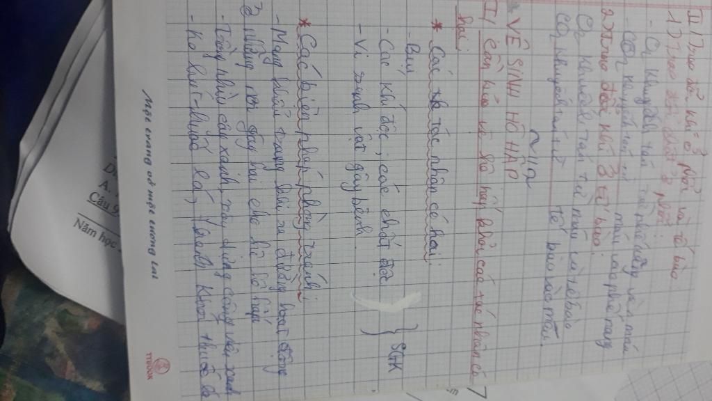 phan-tich-con-duong-lay-truyen-cac-benh-ve-ho-hap-va-bien-phap-phong-tranh-cac-benh-ve-ho-hap