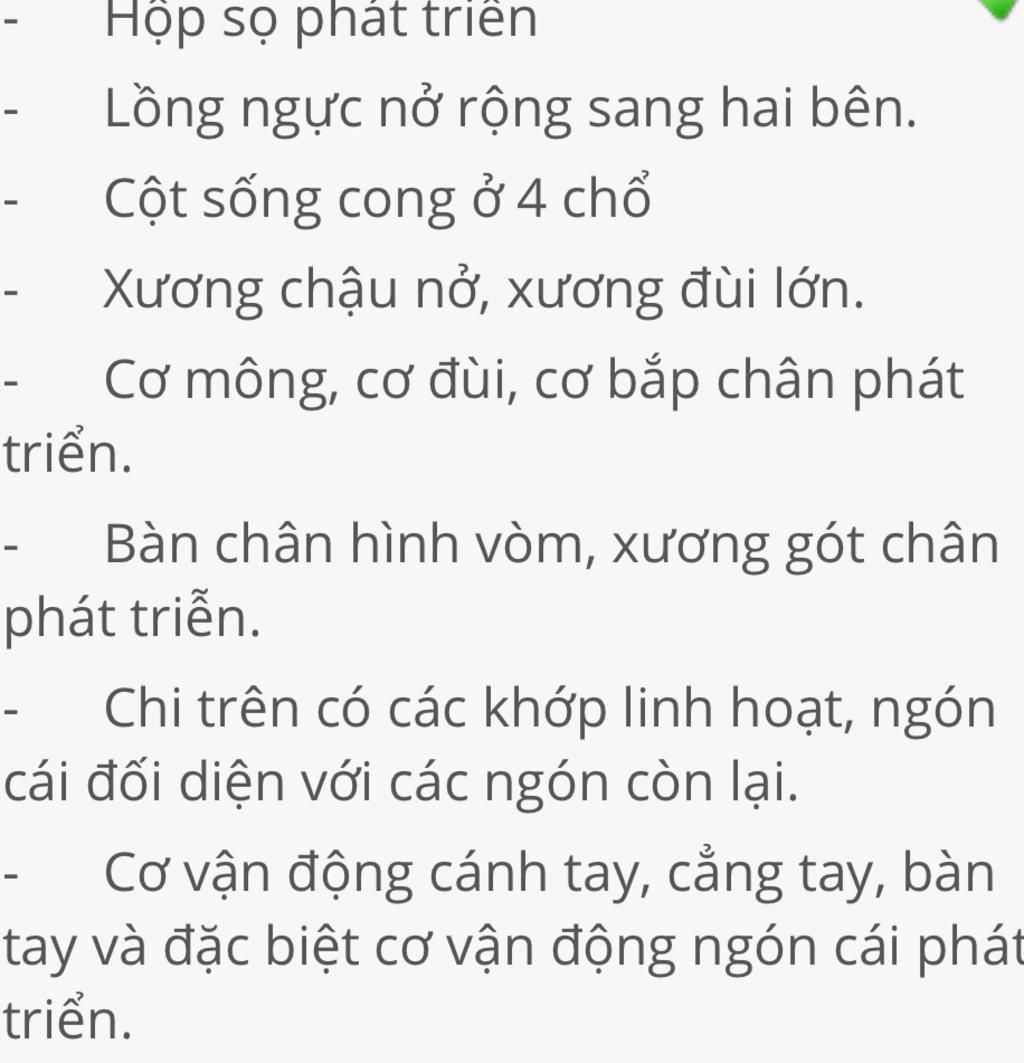phan-tich-nhung-dac-diem-cua-bo-uong-va-he-co-nguoi-thich-nghi-voi-tu-the-dung-thang-va-lao-dong