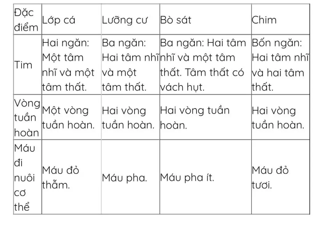 phan-tich-nhung-dac-diem-tien-hoa-cua-cac-nganh-lop-dong-vat