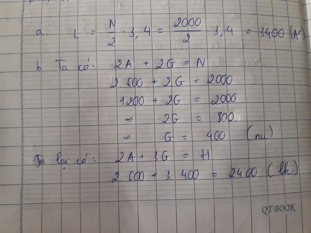 phan-tu-arn-co-tong-so-nu-la-2000-trong-do-so-nu-loai-a-la-600-hay-tinh-a-chieu-dai-cua-adn-b-so