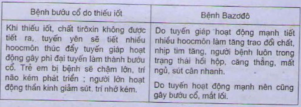 phhan-biet-benh-bazodo-va-bieu-co-do-thieu-ioots
