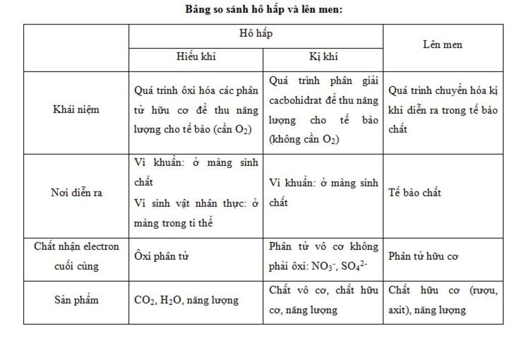 phuong-tien-van-nang-doi-voi-su-trao-doi-nang-luong-o-cac-te-bao-song-la-gi-co-3-co-che-chu-yeu