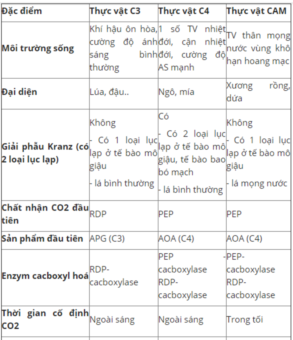 qua-trinh-quang-hop-khai-niem-vai-tro-diem-giong-va-khac-nhau-co-ban-trong-co-che-quang-hop-o-th