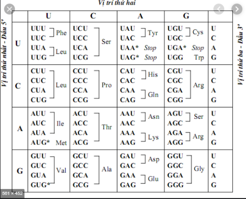 quan-sat-bang-ma-di-truyen-va-tra-loi-cau-hoi-sau-1-ac-dinh-trinh-tu-phan-bo-cac-nucleotide-tren