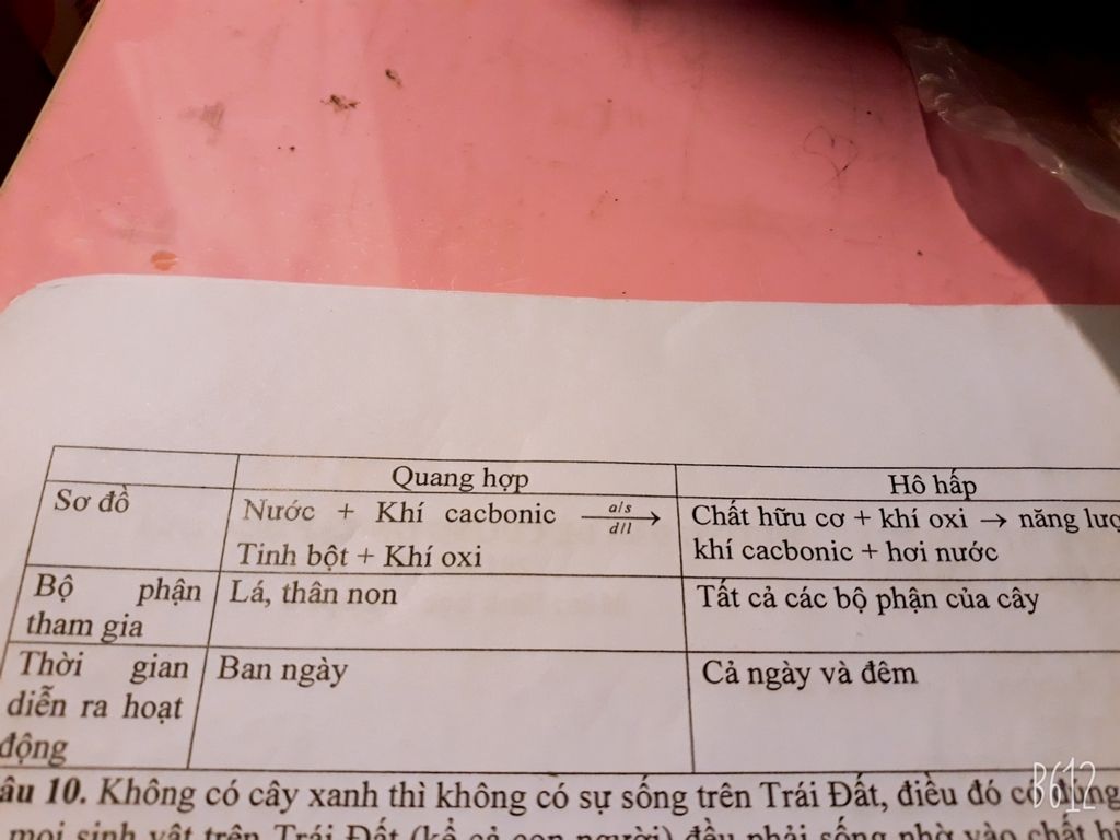 quang-hop-va-ho-hap-khac-nhau-nhu-the-nao-giua-chung-co-quan-he-gi-voi-nhau-ko