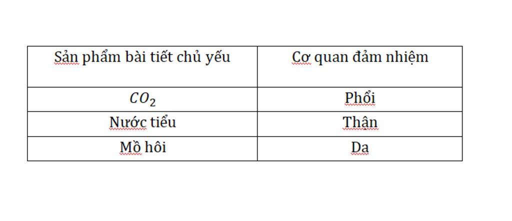 san-pham-bai-tiet-chu-yeu-cua-co-the-la-gi-do-co-quan-nao-dam-nhiem