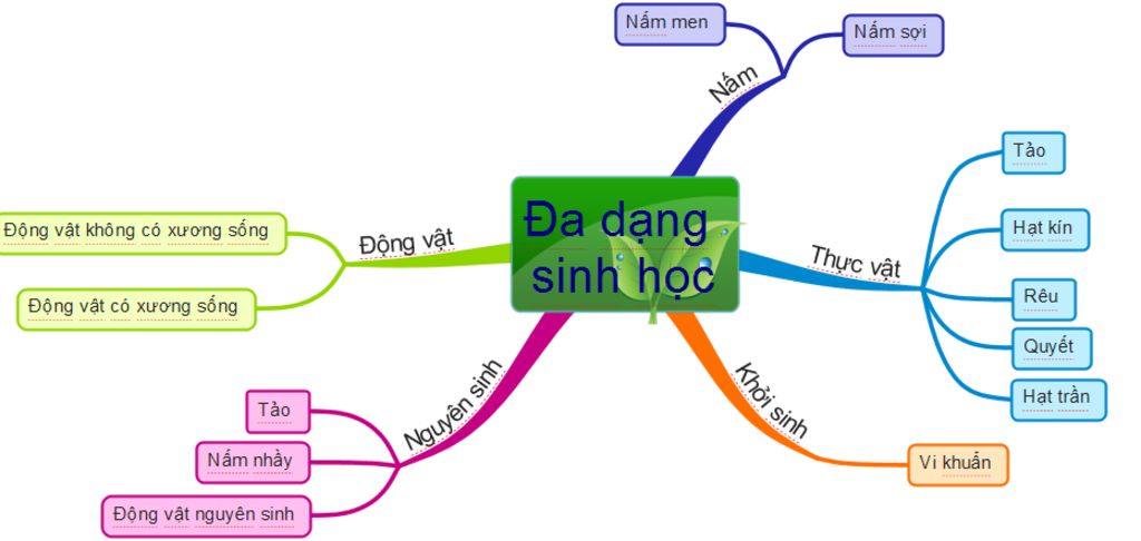 so-do-tu-duy-sinh-9-bai-60-bao-ve-da-dang-he-sinh-thai