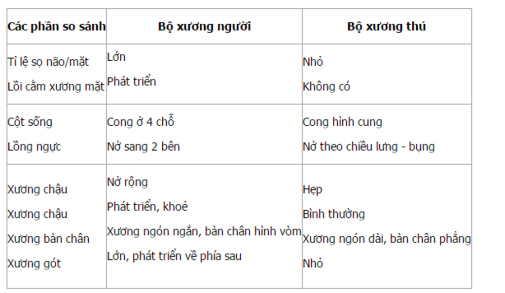 so-sanh-bo-uong-nguoi-voi-bo-uong-thu-ai-giup-minh-voi