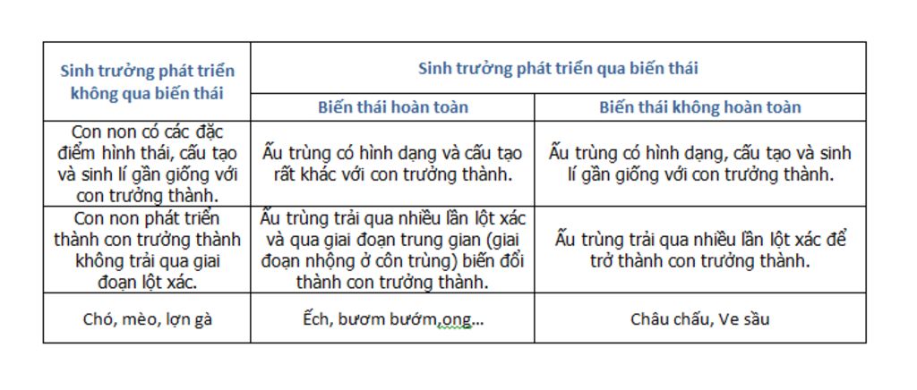 so-sanh-cac-kieu-sinh-truong-va-phat-trien-o-dong-vat-phan-giong-nhau