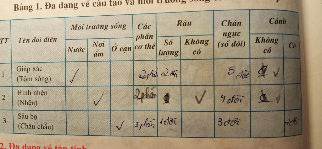 so-sanh-cau-tao-ben-ngoai-giua-tom-song-va-nhen-bang-1-trang-96-bai-29