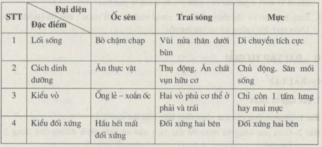 so-sanh-cau-tao-cua-3-dai-dien-chinh-nganh-than-mem-trai-oc-sen-muc
