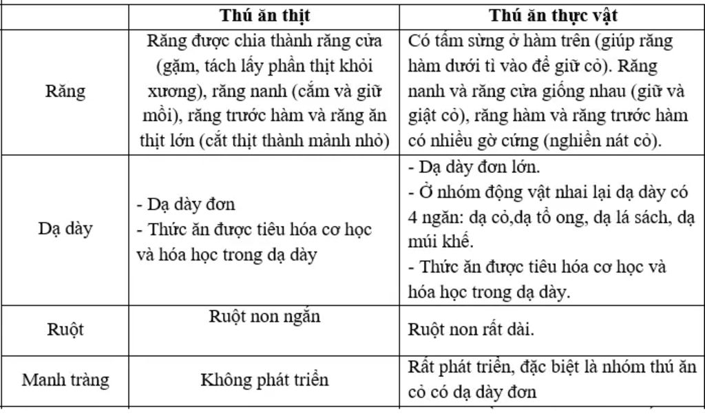 so-sanh-cau-tao-ong-tieu-hoa-va-qua-trinh-tieu-hoa-cua-thu-an-thit-va-thu-an-thuc-vat-neu-ro-cho