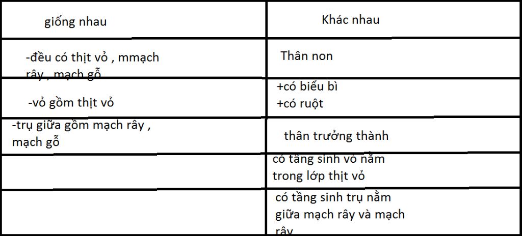 so-sanh-cau-tao-trong-cua-than-non-va-than-truong-thanh-ke-bang-nhe