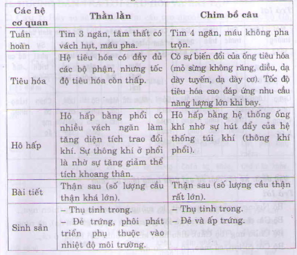 so-sanh-cau-tao-trong-cua-trong-cua-than-lan-va-chim-bo-cau-lien-he-ac-dinh-cac-he-co-quan-khi-m