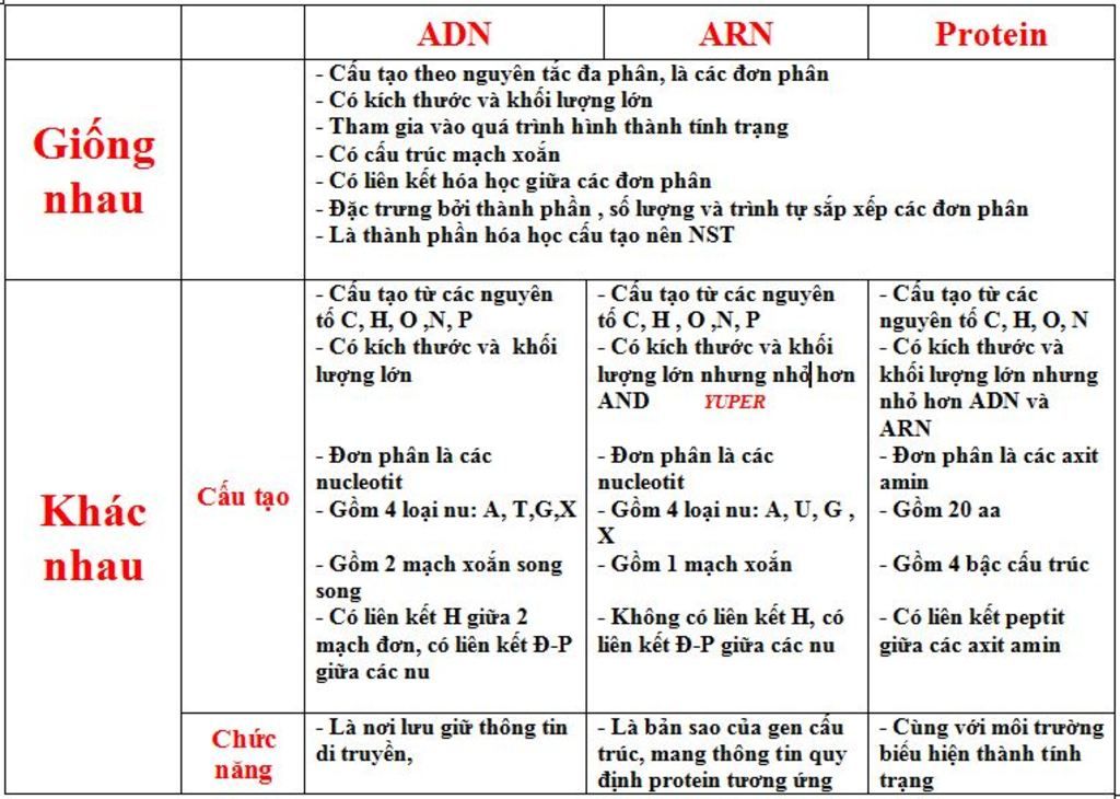 so-sanh-cau-tao-va-cau-truc-cua-adn-arn-protein