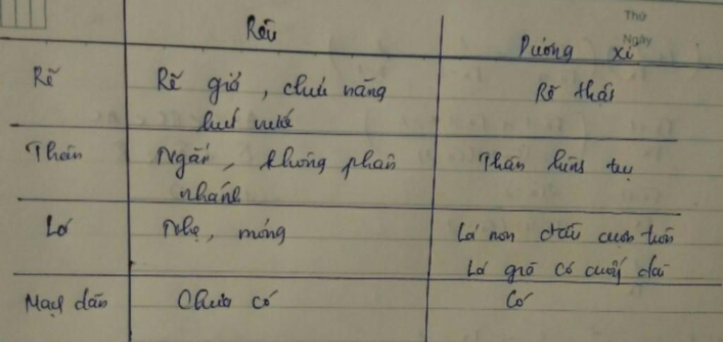 so-sanh-cay-reu-va-cay-duong-i-cay-nao-co-cau-tao-phuc-tap-hon-ke-bang-ko-chep-mang