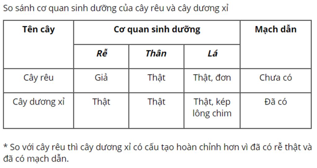 so-sanh-co-quan-sinh-suong-cua-reu-va-duong-i-cay-nao-co-cau-tao-phuc-tap-hon-sr-v