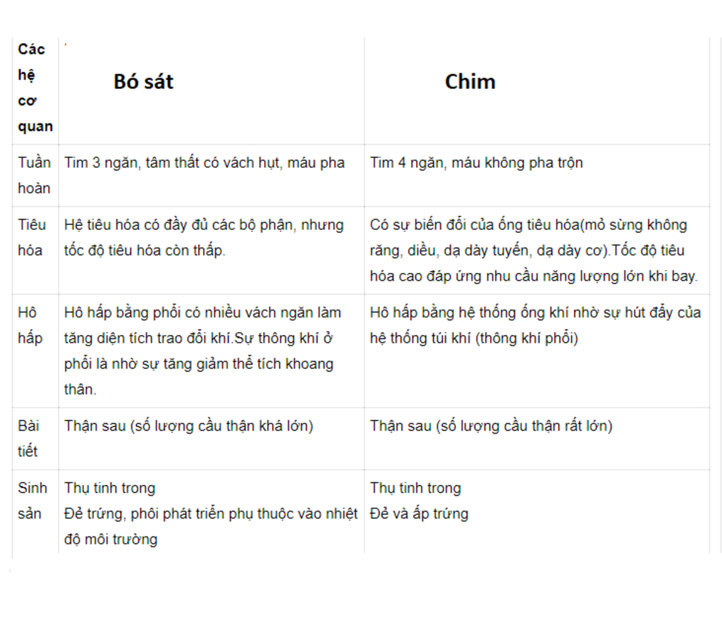 so-sanh-dac-diem-cac-co-quan-dinh-duong-cua-chim-voi-bo-sat-va-neu-duoc-y-nghia-su-khac-nhau-do