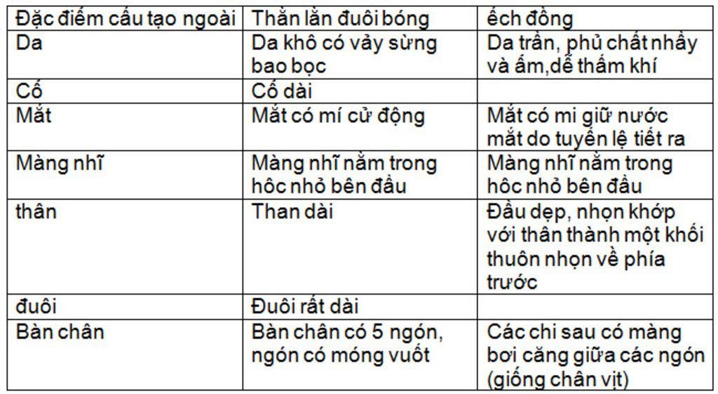 so-sanh-dac-diem-cau-tao-ngoai-cua-than-lan-va-ech-dong-no-co-cai-bang-nua-a-nhung-mik-ko-bik-gu