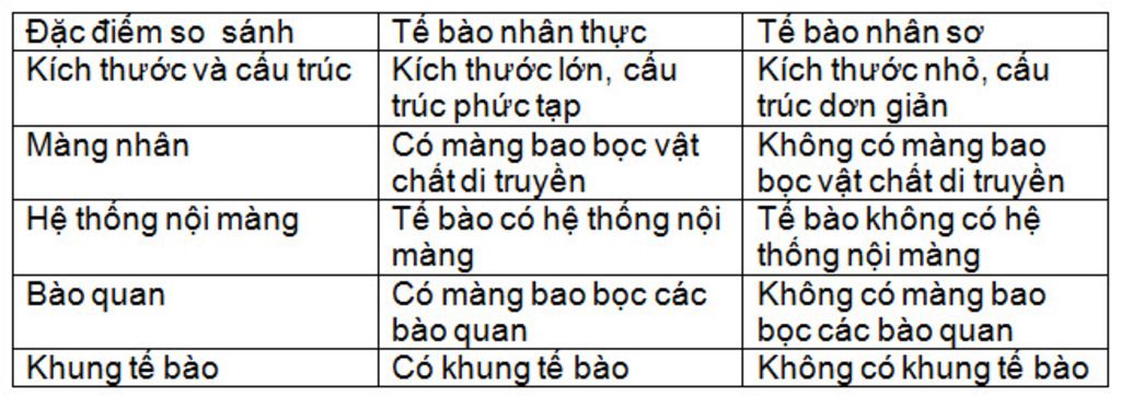 so-sanh-dac-diem-cau-tao-te-bao-nhan-so-va-te-bao-nhan-thuc