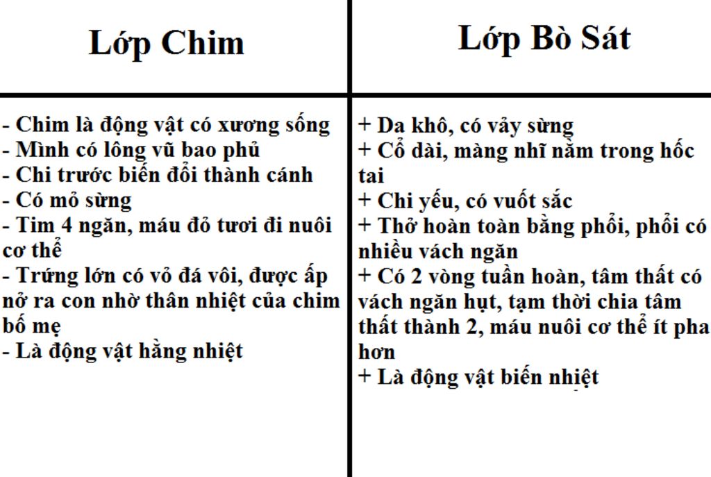 so-sanh-dac-diem-chung-cua-lop-chim-voi-bo-sat-ke-bang-nha