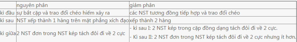 so-sanh-dac-diem-nst-o-giua-ki-cua-nguyen-phan-va-giam-phan-1