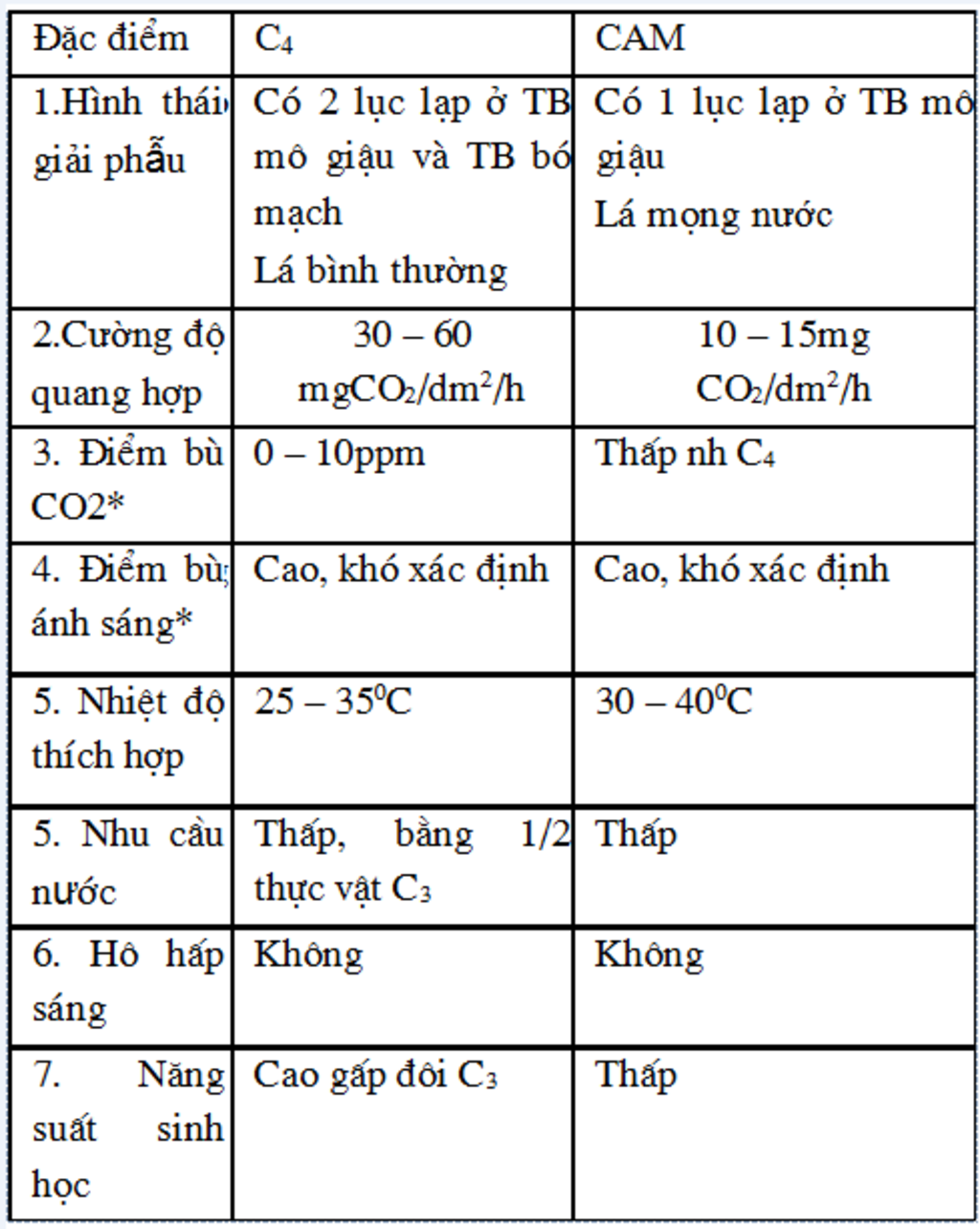 so-sanh-diem-giong-va-khac-nhau-giua-thuc-vat-c4-va-thuc-vat-cam