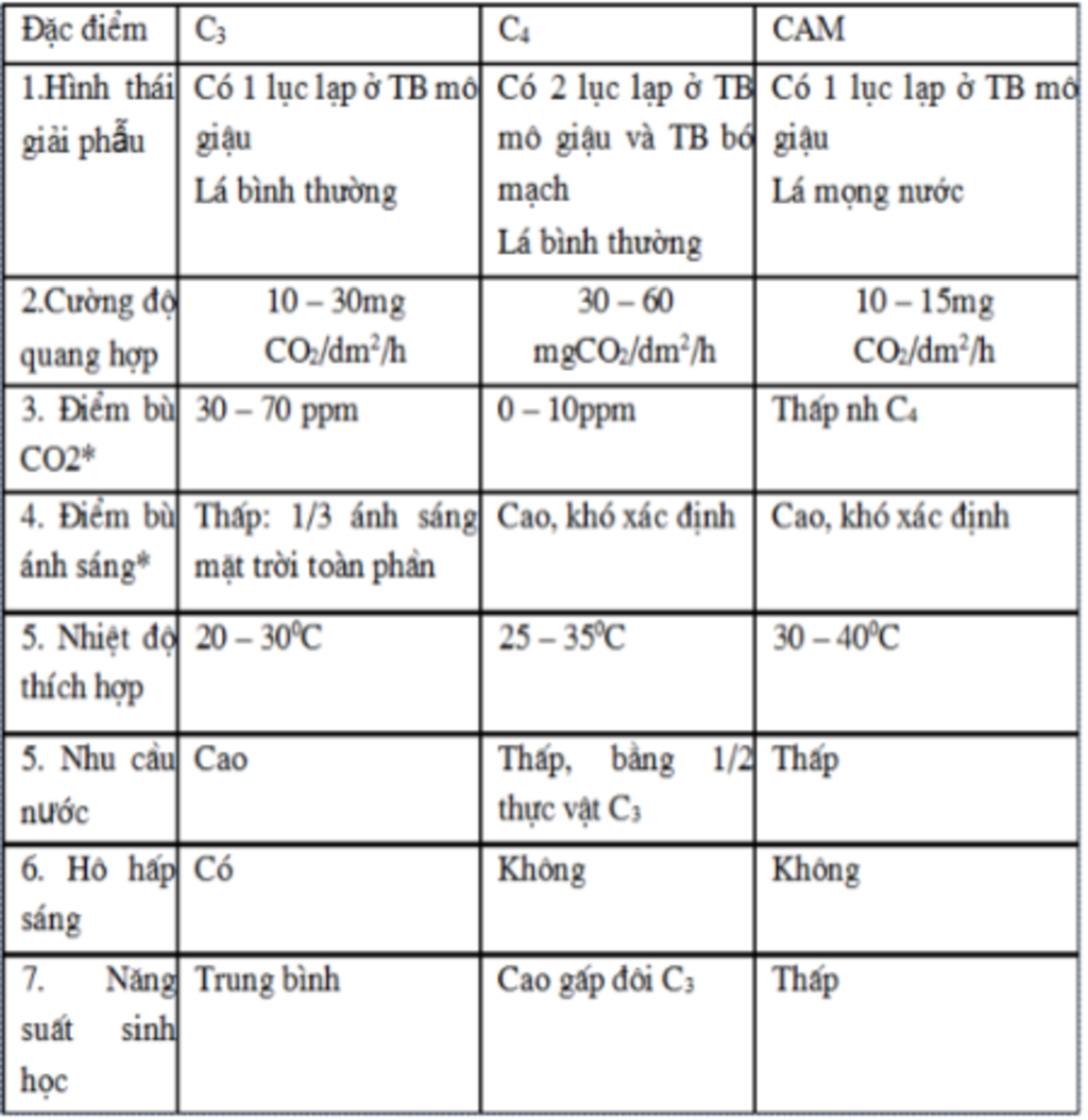 so-sanh-diem-khac-nhau-co-ban-cua-thuc-vat-c3-c4-cam