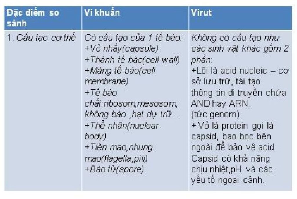 so-sanh-diem-khac-va-giong-nhau-cua-virus-va-vi-khuan