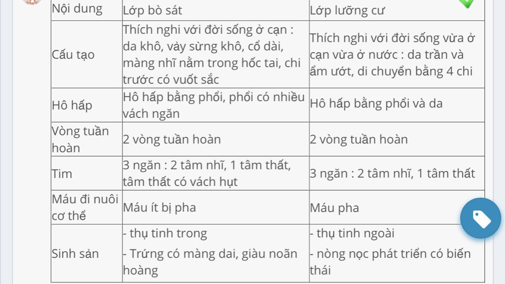 so-sanh-doi-song-cua-bo-sat-voi-luong-cu