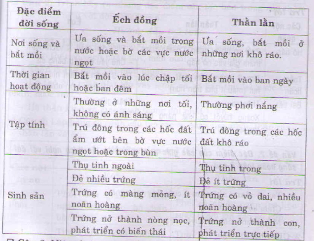 so-sanh-doi-song-cua-ech-dong-va-than-lan-giup-minh-voi-nhanh-nhe-moi-nguoi-oi