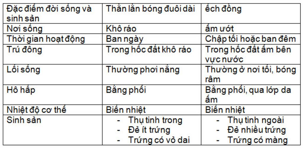 so-sanh-doi-song-cua-ech-dong-voi-than-lan-bong-duoi-dai
