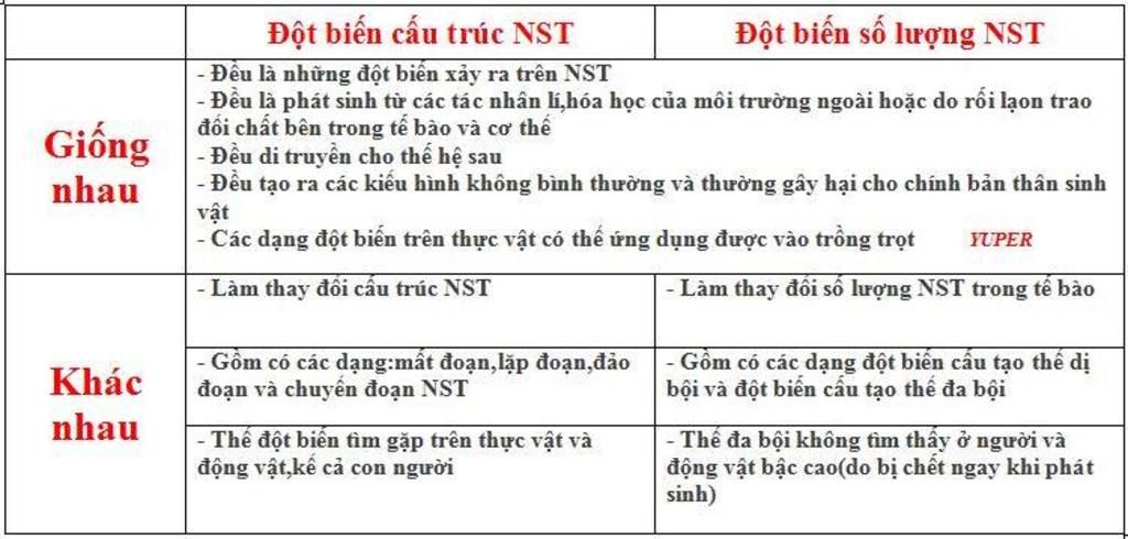 so-sanh-dot-bien-cau-truc-nst-va-dot-bien-so-luong-nst