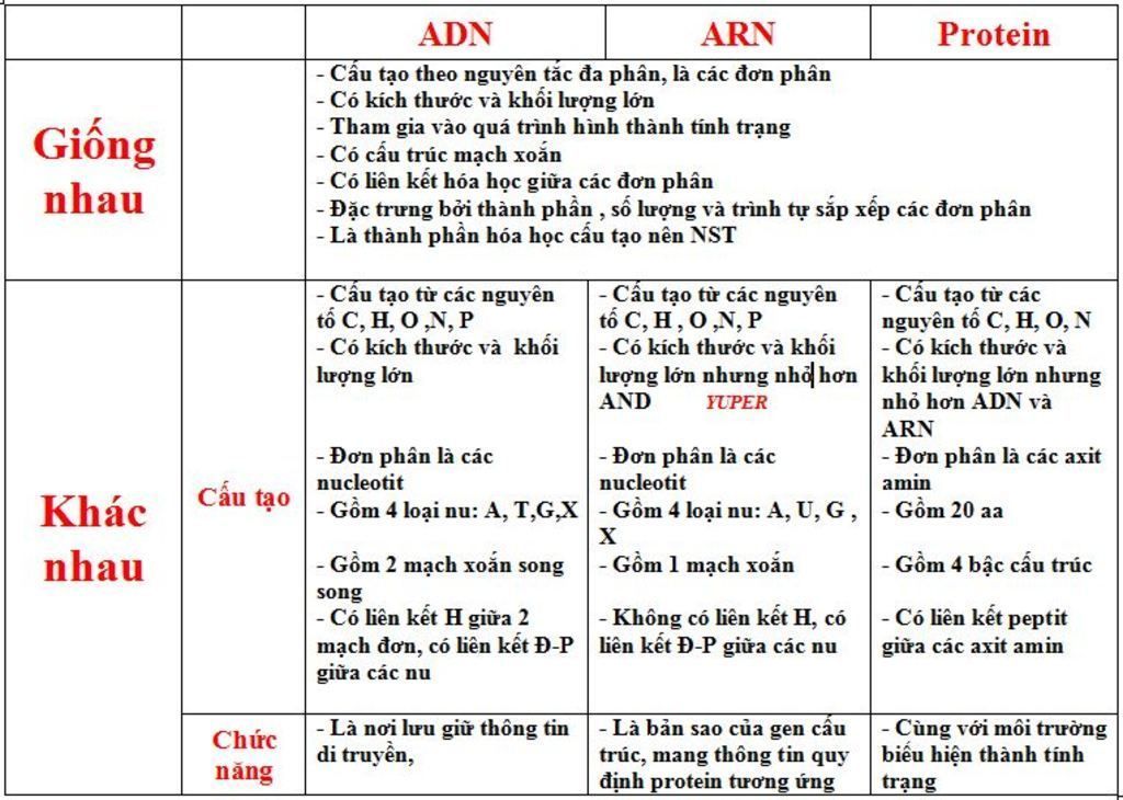 so-sanh-giua-adn-va-arn-so-sanh-chi-tiet-cu-the-va-du-doi-voi-kien-thuc-lop-10-la-duoc