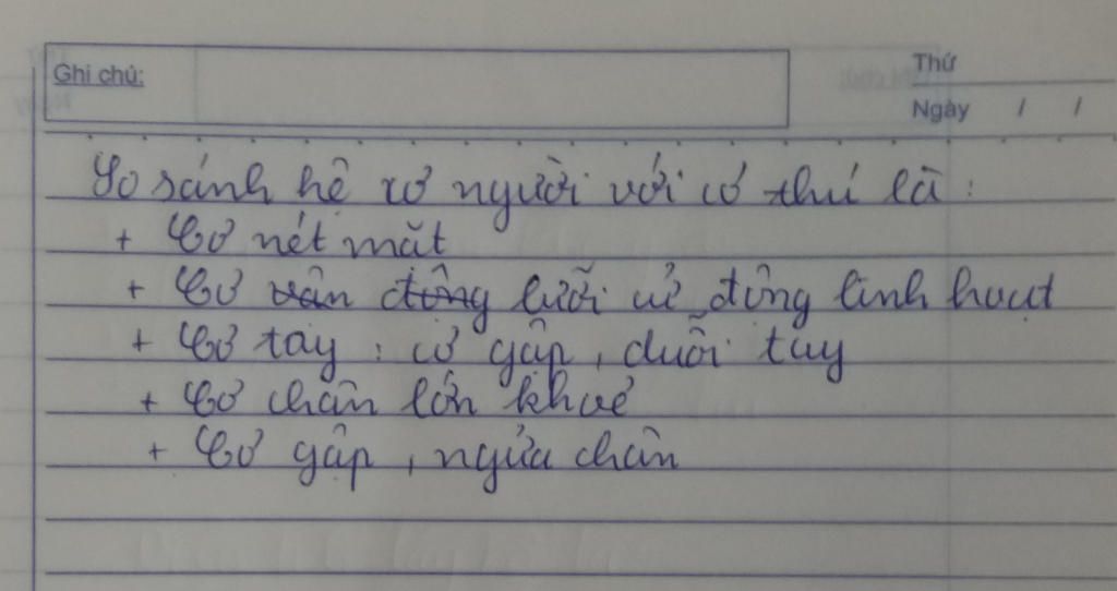 so-sanh-he-co-cua-nguoi-voi-he-co-cua-thu-giup-em-voi-a