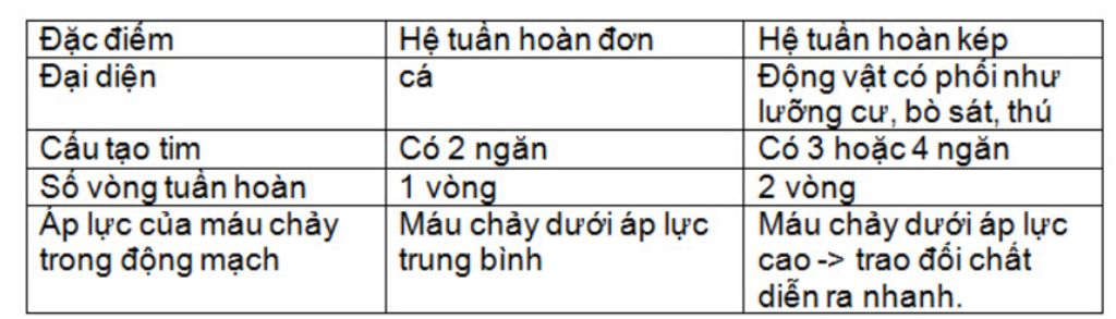so-sanh-he-tuan-ho-va-he-tuan-kin-so-sanh-don-va-he-tuan-hoan-kep