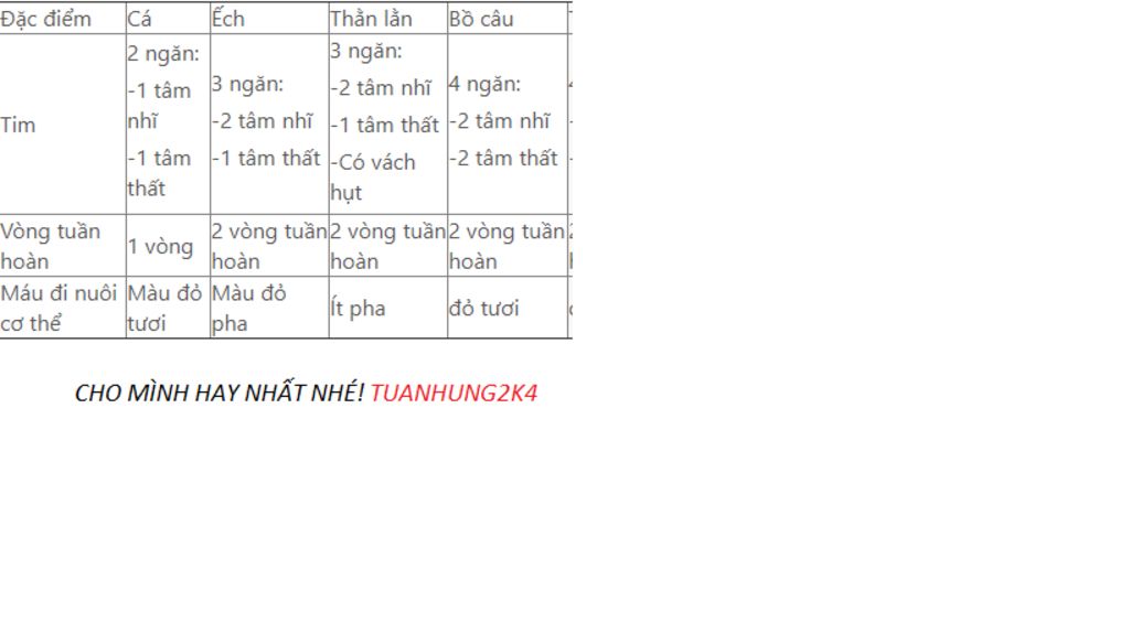 so-sanh-he-tuan-hoan-cua-ech-dong-thang-lang-bo-cau