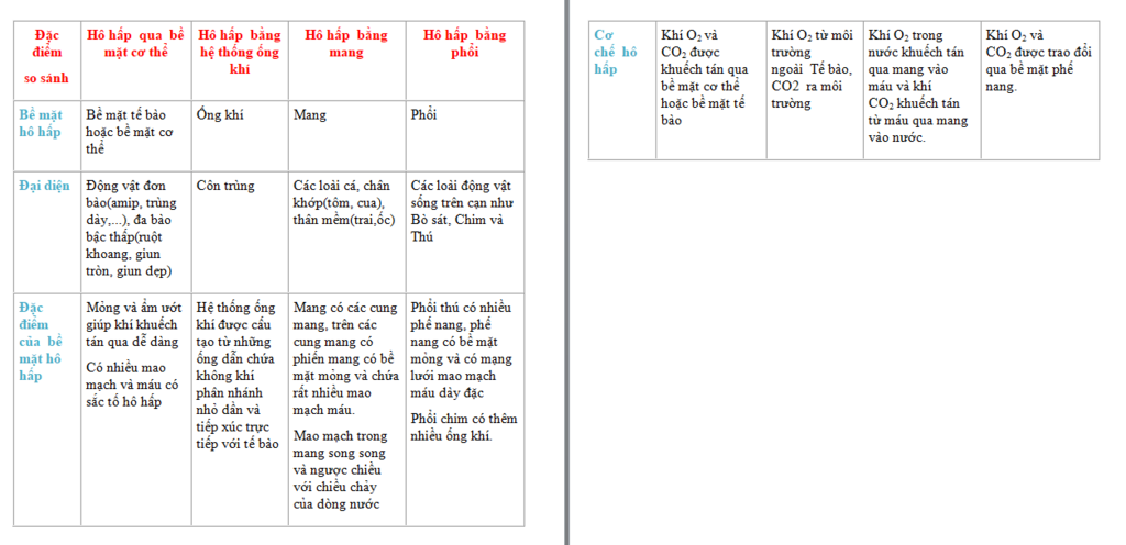 so-sanh-hieu-qua-cac-hinh-thuc-ho-hap-o-dong-vat