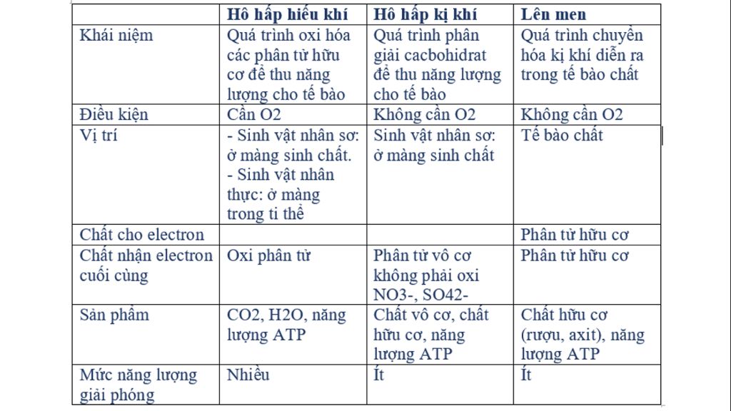 so-sanh-ho-hap-hieu-khi-ki-khi-len-men-khai-niem-dieu-kien-vi-tri-chat-cho-electron-chat-nhan-el