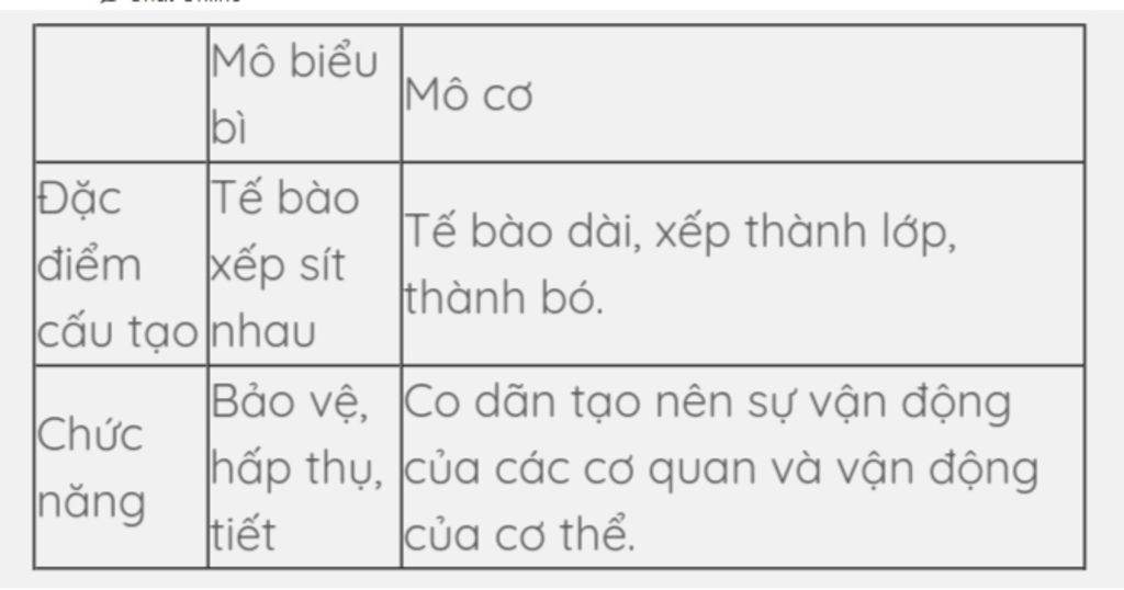so-sanh-mo-bieu-bi-va-mo-co-neu-su-giong-nhau-va-khac-nhau-nha-ctlhn-lun